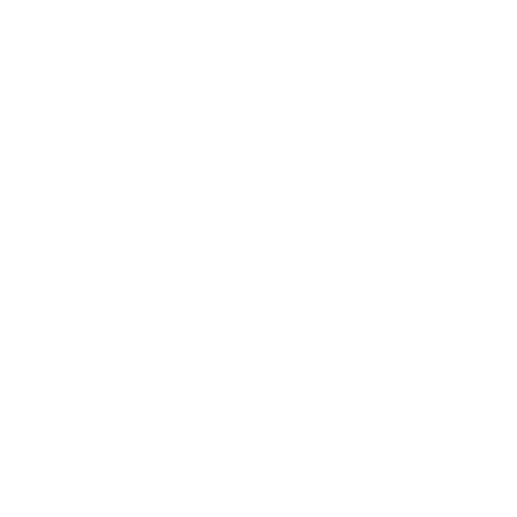 Músicos de Fondo